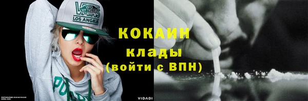 крисы Баксан