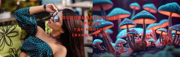 крисы Баксан