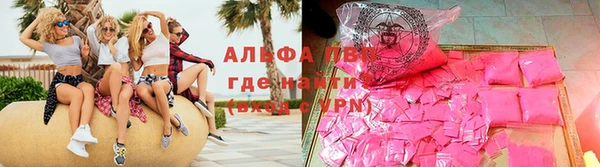 крисы Баксан
